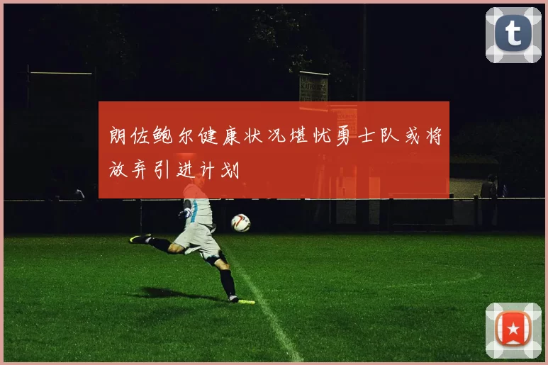 朗佐鲍尔健康状况堪忧勇士队或将放弃引进计划