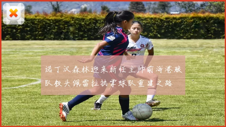 诺丁汉森林迎来新任主帅前海港狼队教头佩雷拉执掌球队重建之路